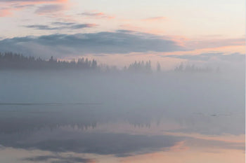 Menopause and Brain Fog: Why Your Mind Can Feel Different in Midlife