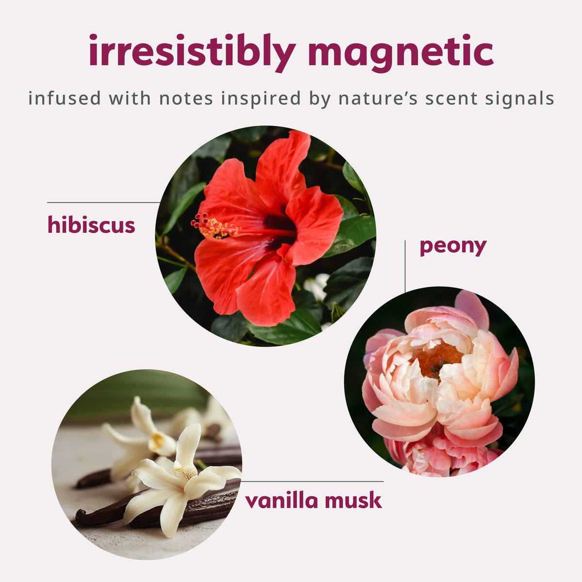 Pheromone Inspired Perfume Oil – Floral Vanilla Musk
