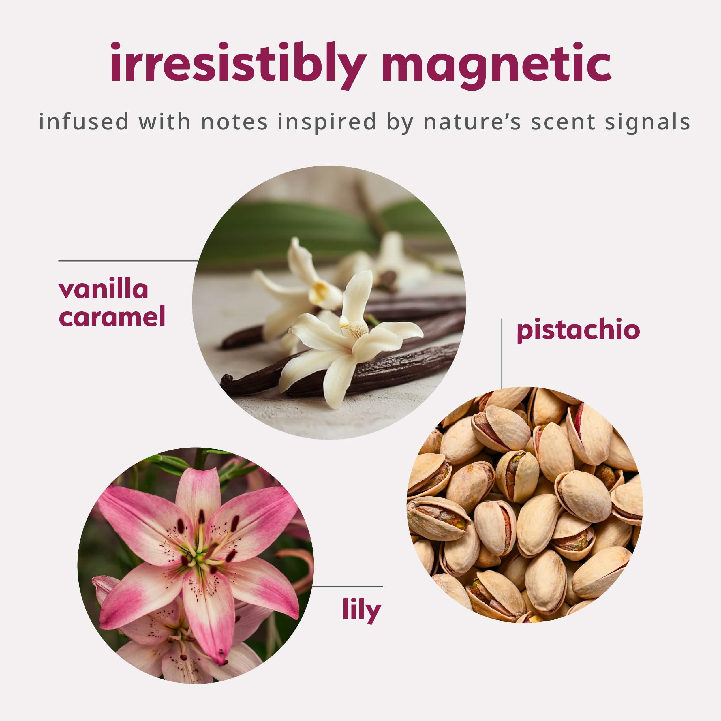 Pheromone Inspired Perfume Oil – Amber Gourmand – plusOne