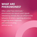 Pheromone Inspired Perfume Oil – Amber Gourmand