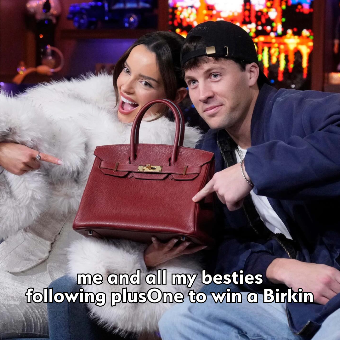 Hermès Birkin