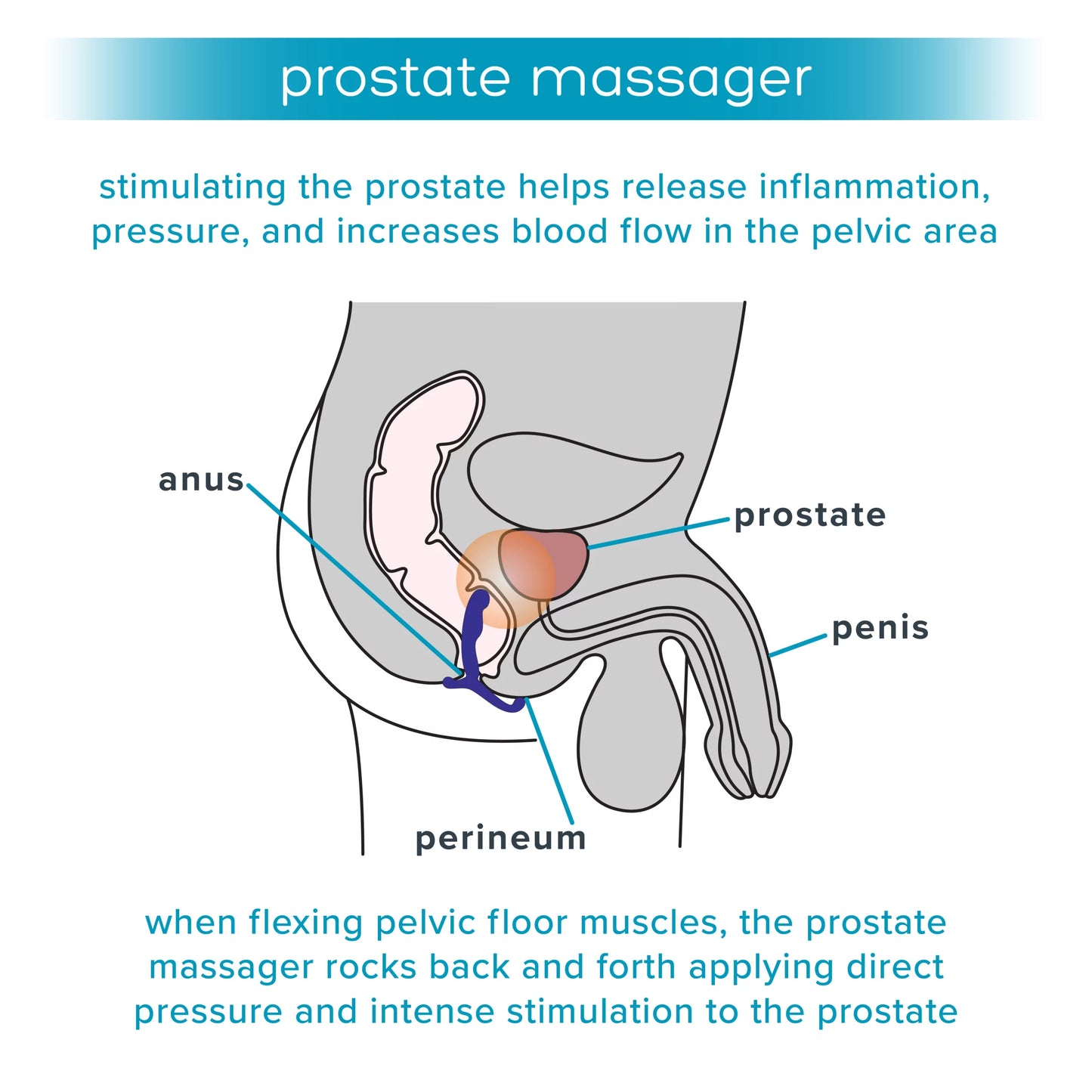 
                  
                    plusOne® prostate massager
                  
                