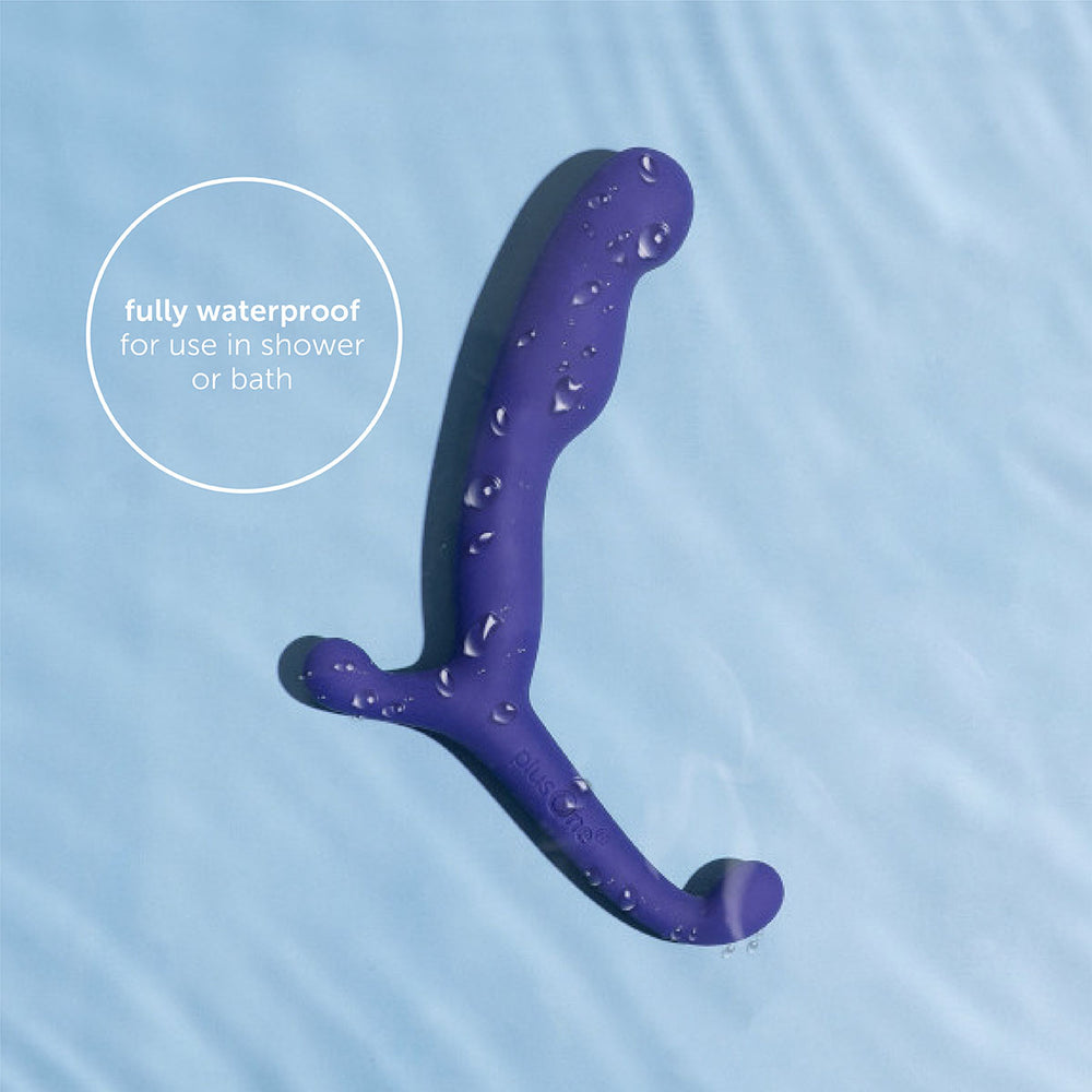 
                  
                    plusOne® prostate massager
                  
                