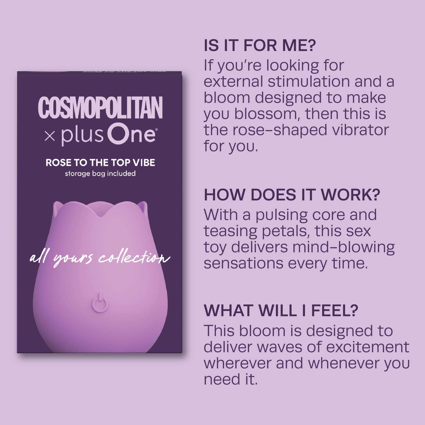 Cosmopolitan X plusOne Rose to the Top Vibe Cosmopolitan X plusOne Rose to the Top Vibe