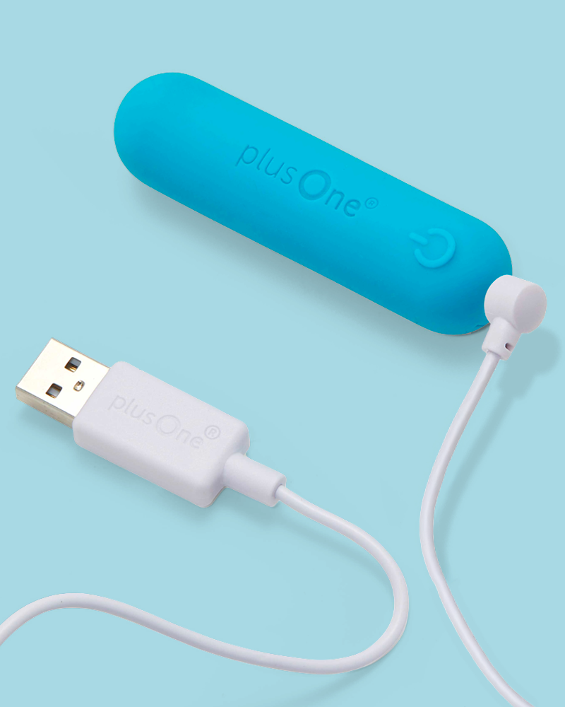 Replacement Chargers