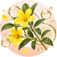 allergy-free libido supplement