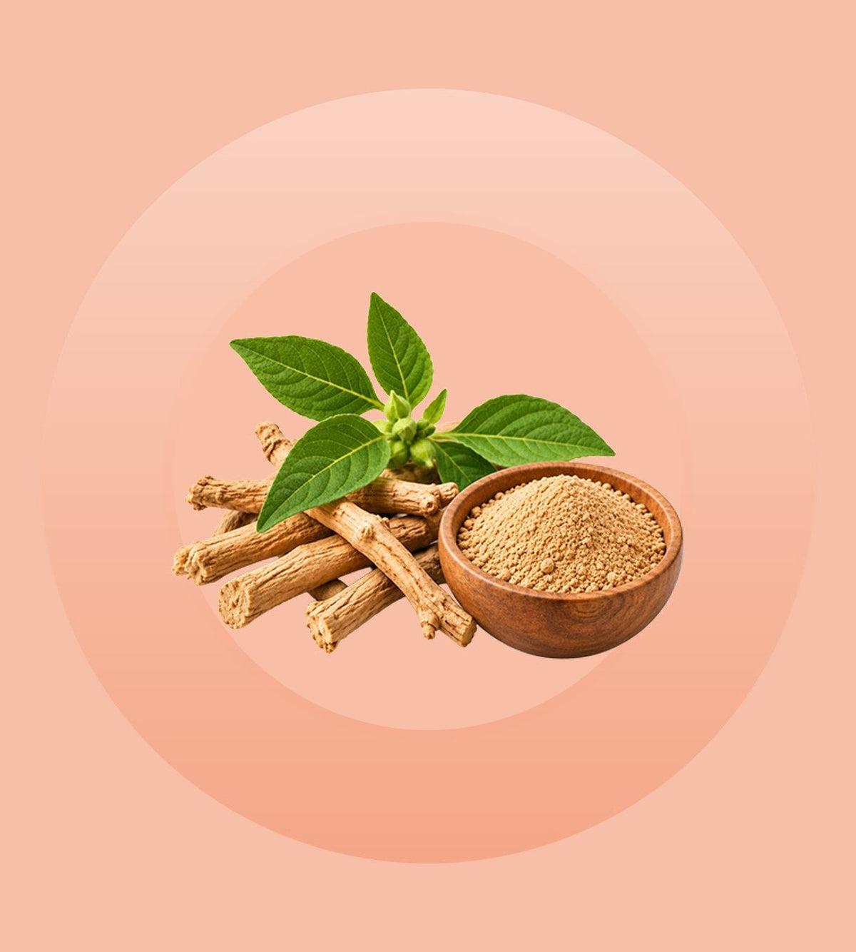 Ashwagandha Extract