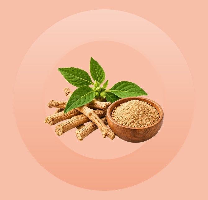 Ashwagandha Extract