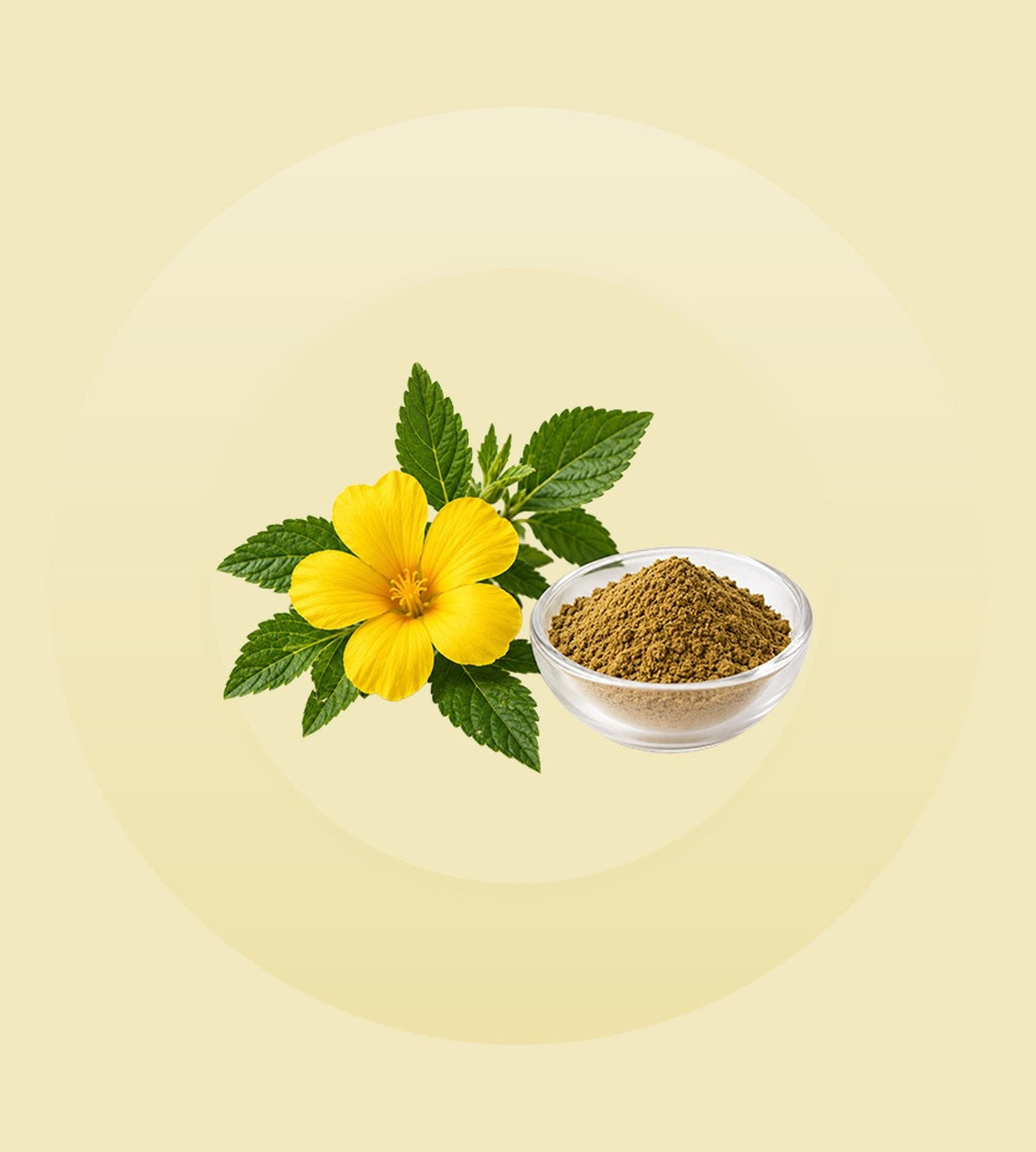 Damiana Extract