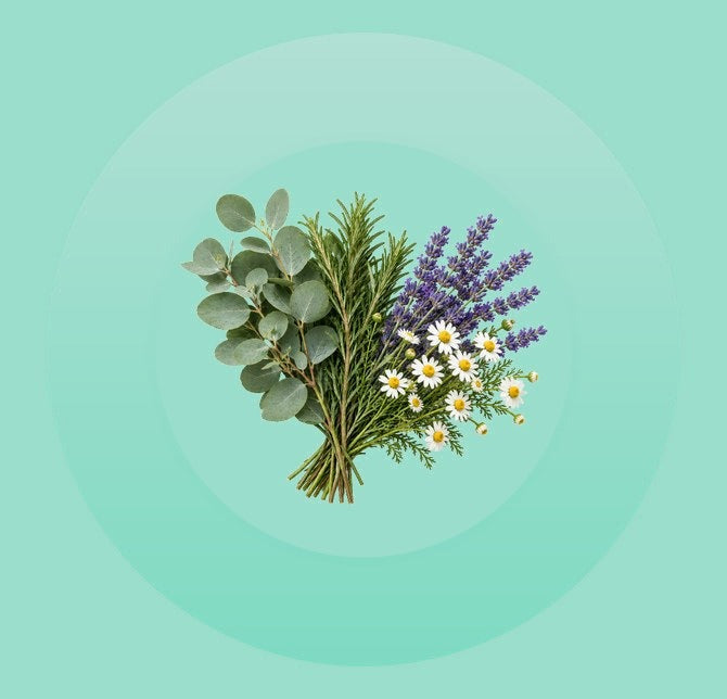 Eucalyptus, Rosemary, Lavender & Chamomile