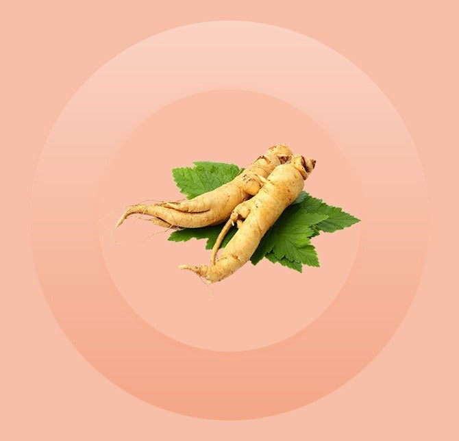 Ginseng
