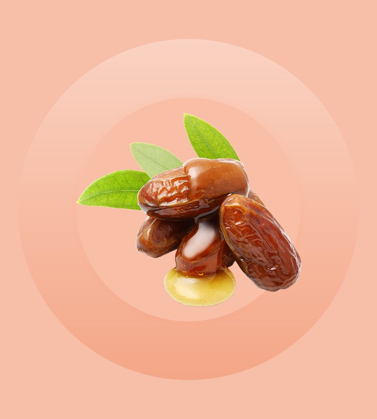 Jojoba Oil