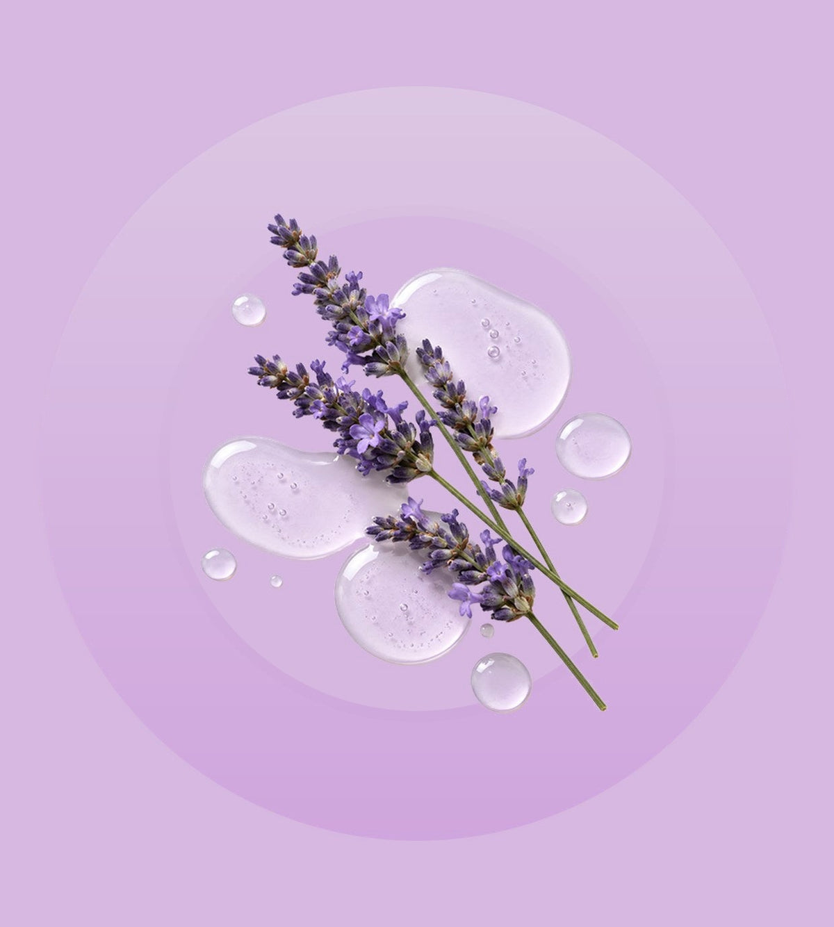Lavender Oil