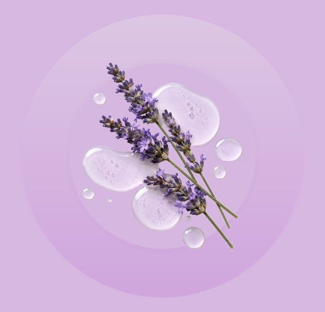 Lavender Oil