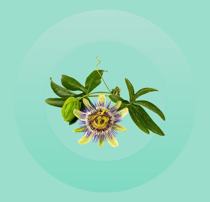 Passion Flower Extract